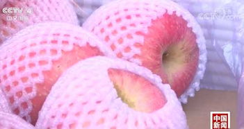 記者探秘 水果價格為何比肉貴？果市‘漲聲一片’背后真相解密